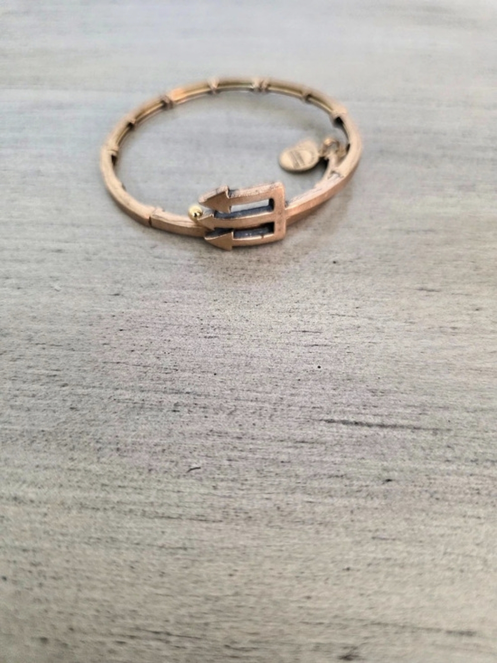 Alex and Ani Trident Metal Wrap Bangle Bracelet Rose Gold
